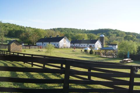 A Trip To This Barnyard Winery Is The Virginia Day Trip You Didn't Know You Needed