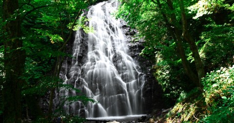 You'll Fall In Love With The Fairy Stairs And Footbridges On This North Carolina Waterfall Hike