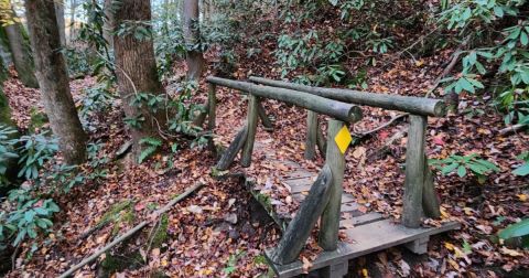 This Magical Rock Garden Trail In Kentucky Is The Perfect Little Adventure