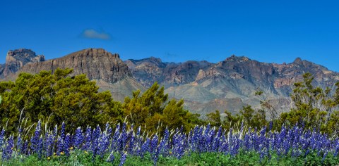 Here's Why Early Spring Is The Very Best Season To Visit This Breathtaking National Park