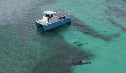 The Eco-Friendly Boat Trip In Florida That Takes You To Paradise