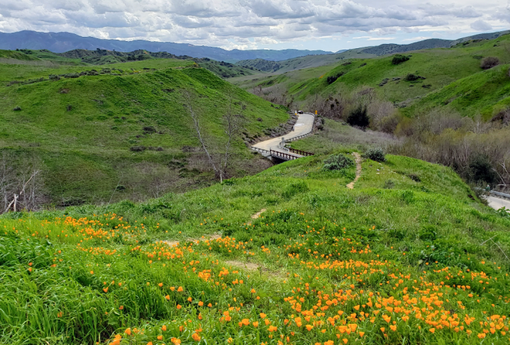 Bane Canyon