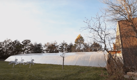 The One Fascinating Farm In Nebraska Where Oranges Grow In The Snow