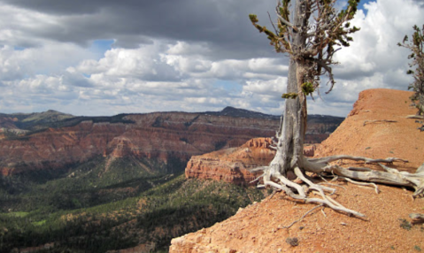 This Underrated Utah Trail Has The Most Spectacular Views