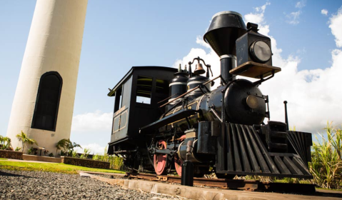 Train Lovers Won't Want To Pass Up A Visit To These Historic Locomotives