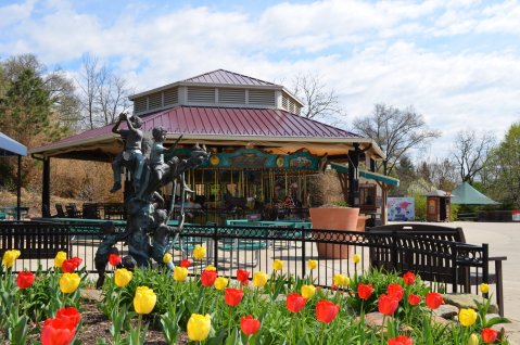 The Little-Known Zoo In Ohio That's Perfect For Your Next Outing