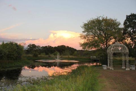 Drink Wine And Mingle With Alpacas At This One Of A Kind Texas Vineyard