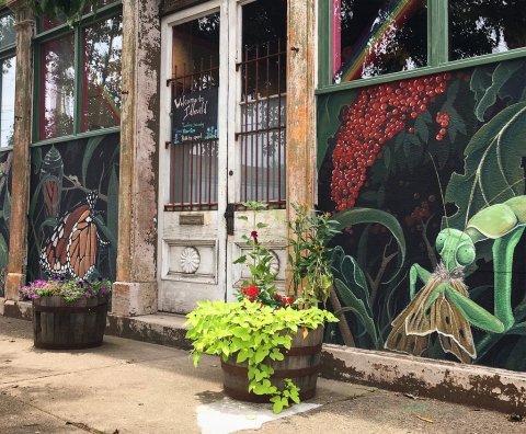 The Magical Butterfly Farm In Kentucky That Can Be Found Where You'd Least Expect It