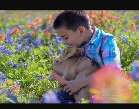 The Adorable Bunny Farm In Texas Your Whole Family Will Love