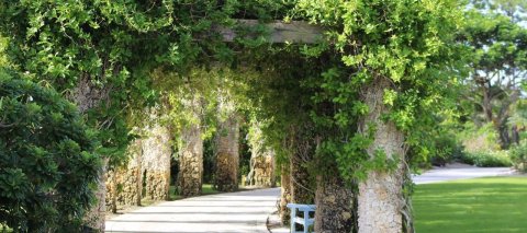 This Beautiful 170-Acre Botanical Garden In Florida Is A Sight To Be Seen