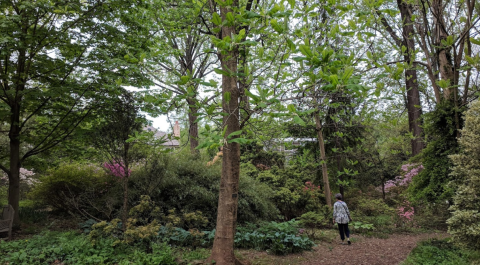 The Secret Garden In Maryland That You Just May Have All To Yourself