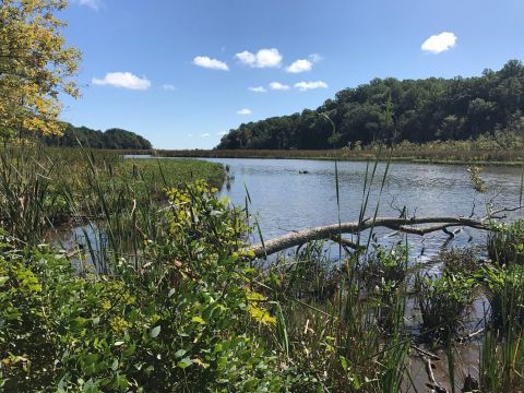 This Underrated Trail Just May Be The Most Peaceful Hike In Maryland