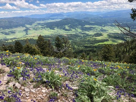 This Invigorating Montana Trail Takes You Straight To The Top Of The World