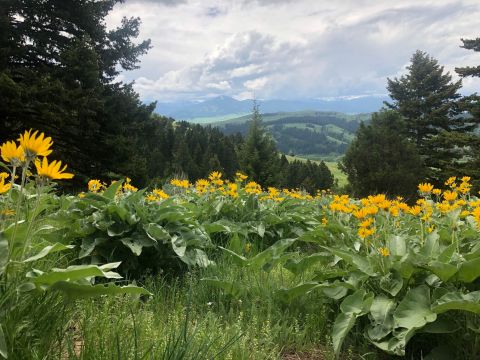 The 8 Must-Do Hikes To Add To Your Montana Bucket List This Spring