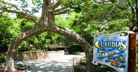 This Garden Of Bizarre Trees In Northern California Needs To Be Seen To Be Believed