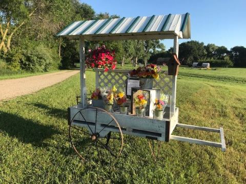 The Dreamy Flower Farm In Nebraska You’ll Want To Visit This Spring