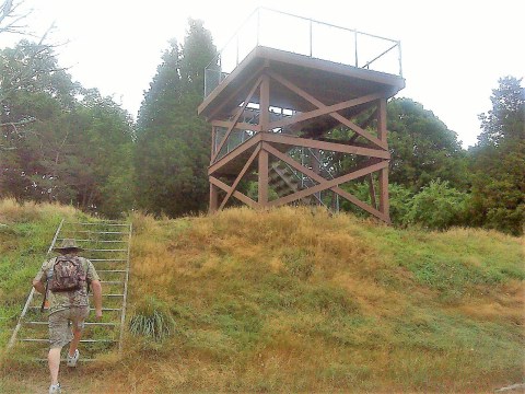 The Easy Trail In Rhode Island That Will Take You To The Top Of The World