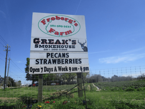 Take The Whole Family On A Day Trip To This Pick-Your-Own Strawberry Farm In Texas