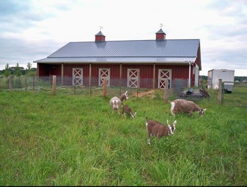 You Can Learn How To Make Fresh Cheese On This Wisconsin Farm