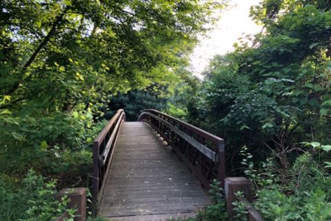 The Magical River Walk In Connecticut That Will Transport You To Another World