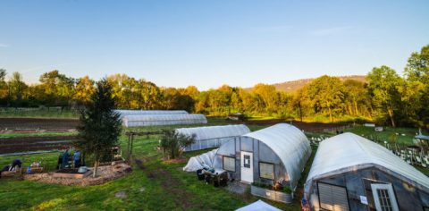 This Farm In Chattanooga Is The Perfect Place To Escape To The Tennessee Countryside