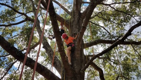 Practice Your Tree Climbing Technique At This Stunning Georgia State Park