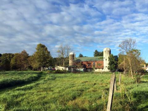 Celebrate Spring With A Day Outdoors At This Pennsylvania Nature Area