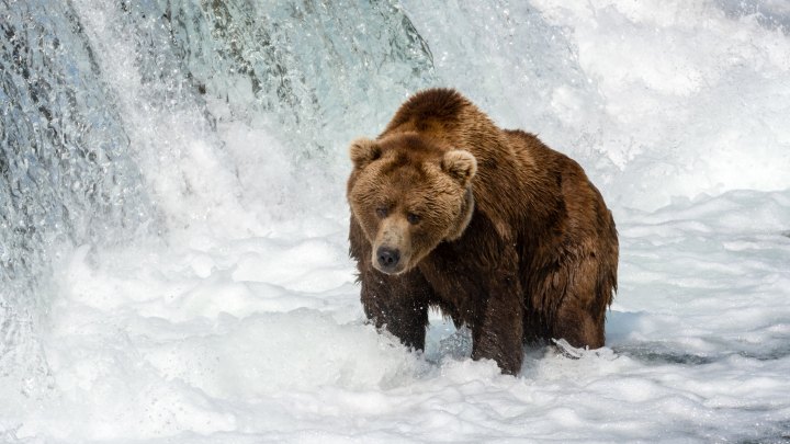 spring in Alaska