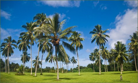 This Beautiful 294-Acre Botanical Garden In Hawaii Is A Sight To Be Seen