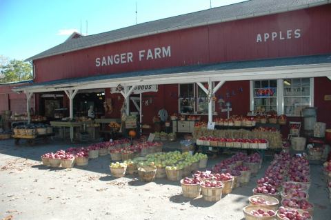 This One-Of-A-Kind Fruit Farm Near Buffalo Serves Up Fresh Homemade Pie To Die For