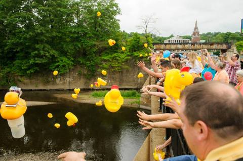 The Unique Festival In Connecticut That Must Be Seen To Be Believed