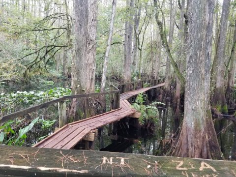 The Oldest Campground In Florida Has Made Summertime More Magical Since 1931