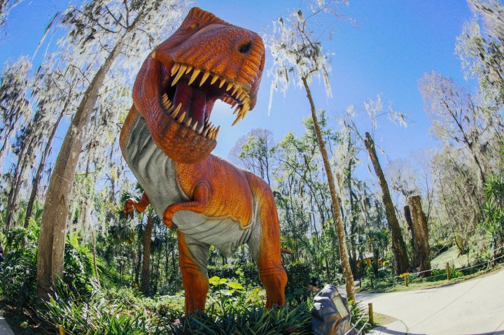 Dinosaur Park