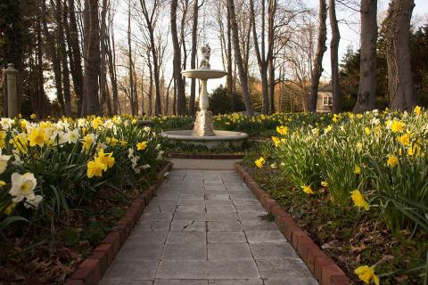 Visit This Daffodil Garden In Rhode Island For That Beautiful Scenic Experience You Crave