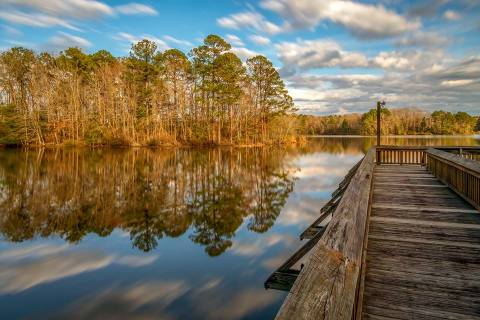 Sneak Away To These 9 Underrated State Parks In Louisiana For That Wonderful, Scenic Experience You Need