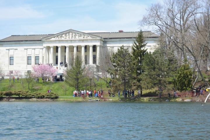 Buffalo Cherry Blossom Festival