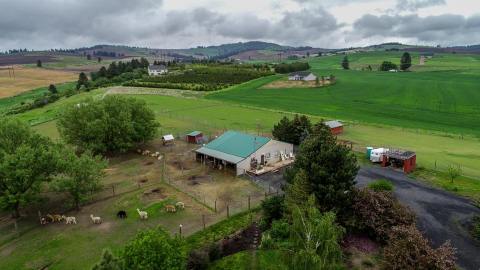 Spend The Night On An Alpaca Farm In Idaho For The Most Charming Weekend Escape