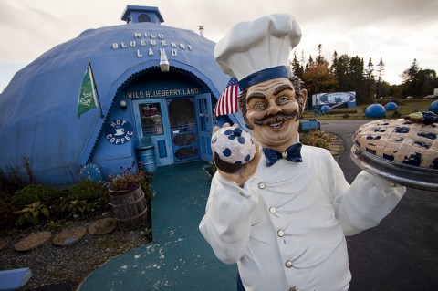 This One-Of-A-Kind Blueberry Farm In Maine Serves Up Fresh Homemade Pie To Die For