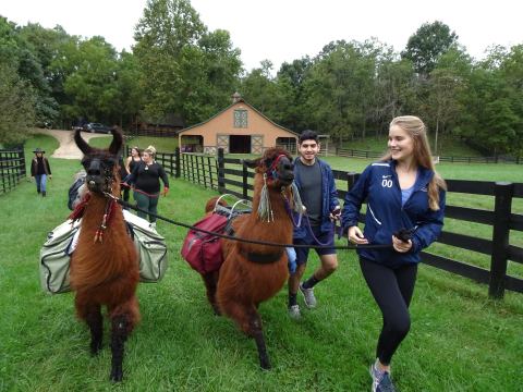 Go Hiking With Llamas In Virginia For An Adventure Unlike Any Other