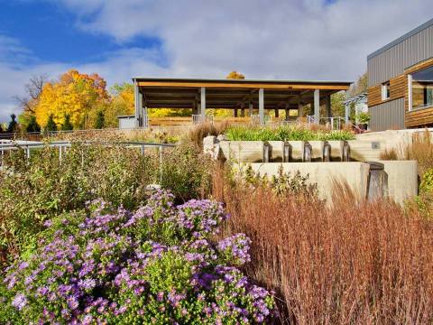 This Beautiful 25-Acre Botanical Garden In Michigan Is A Sight To Be Seen