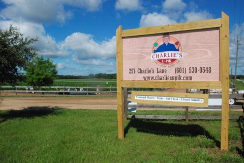 This 100-Acre U-Pick Farm In Mississippi Is The Perfect Way To Spend An Afternoon