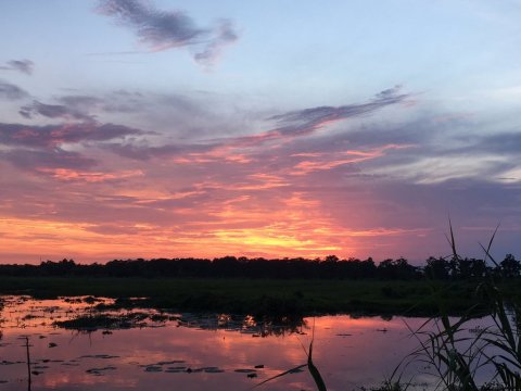 This Sunset Swamp Tour Near New Orleans Is Almost Too Good To Be True