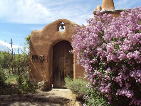 Bloom Into Spring At This Beautiful Lilac Festival In New Mexico