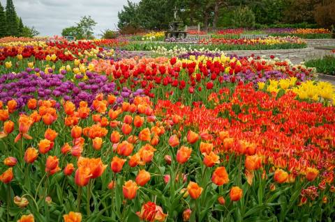 This Beautiful 1200-Acre Botanical Garden In Minnesota Is A Sight To Be Seen