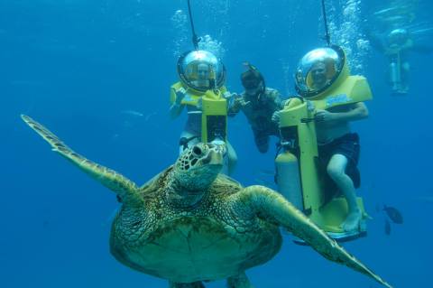 This Underwater Adventure In Hawaii Might Just Be The Country's Most Unique