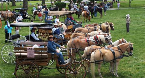 Every Marylander Should Witness This Annual Wagon Train At Least Once