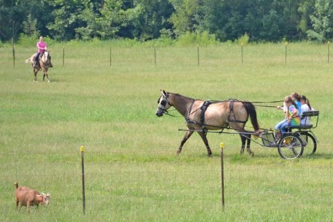 There's A Bed and Breakfast On This Horse Farm In Mississippi And You Simply Have To Visit