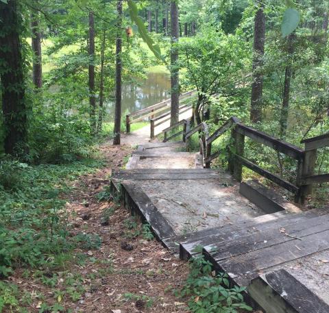 This 10-Mile Hike In Mississippi Leads To The Dreamiest Swimming Hole