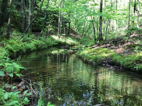 The Hike To This Little-Known Missouri Waterfall Is Short And Sweet