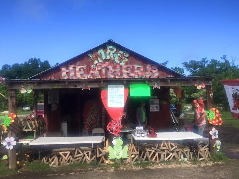 Take The Whole Family On A Day Trip To This Pick-Your-Own Strawberry Farm In Louisiana